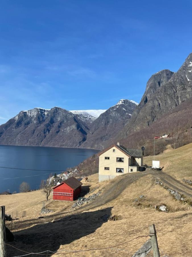 Aurland Stegastein Apartment Ngoại thất bức ảnh