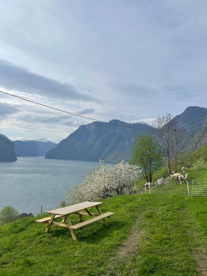 Aurland Stegastein Apartment Ngoại thất bức ảnh