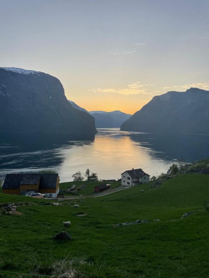 Aurland Stegastein Apartment Ngoại thất bức ảnh